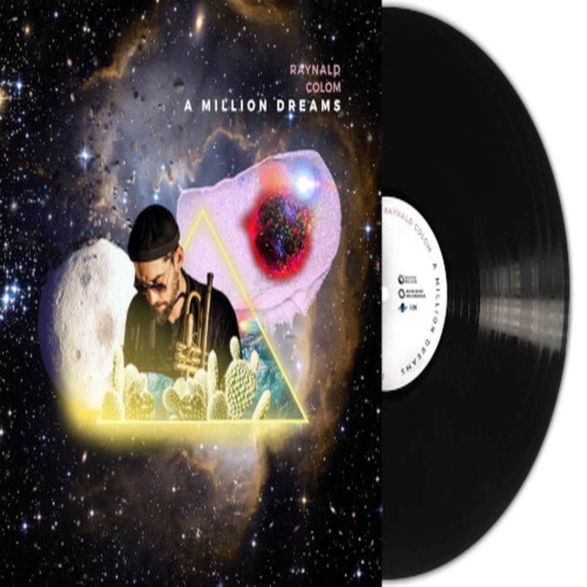 A Million Dreams (2 LP Vinyl)