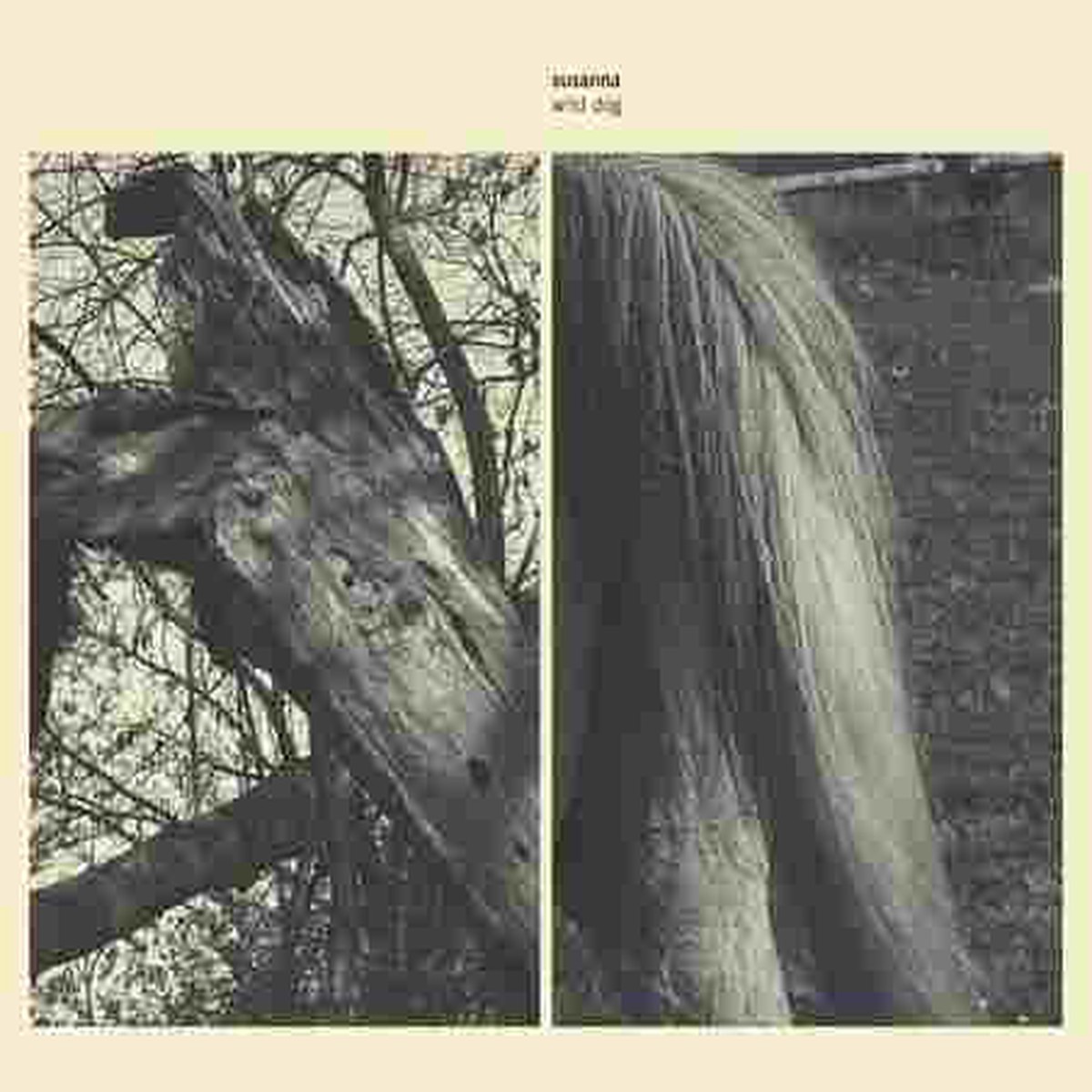 Wild Dog (Vinyl LP)