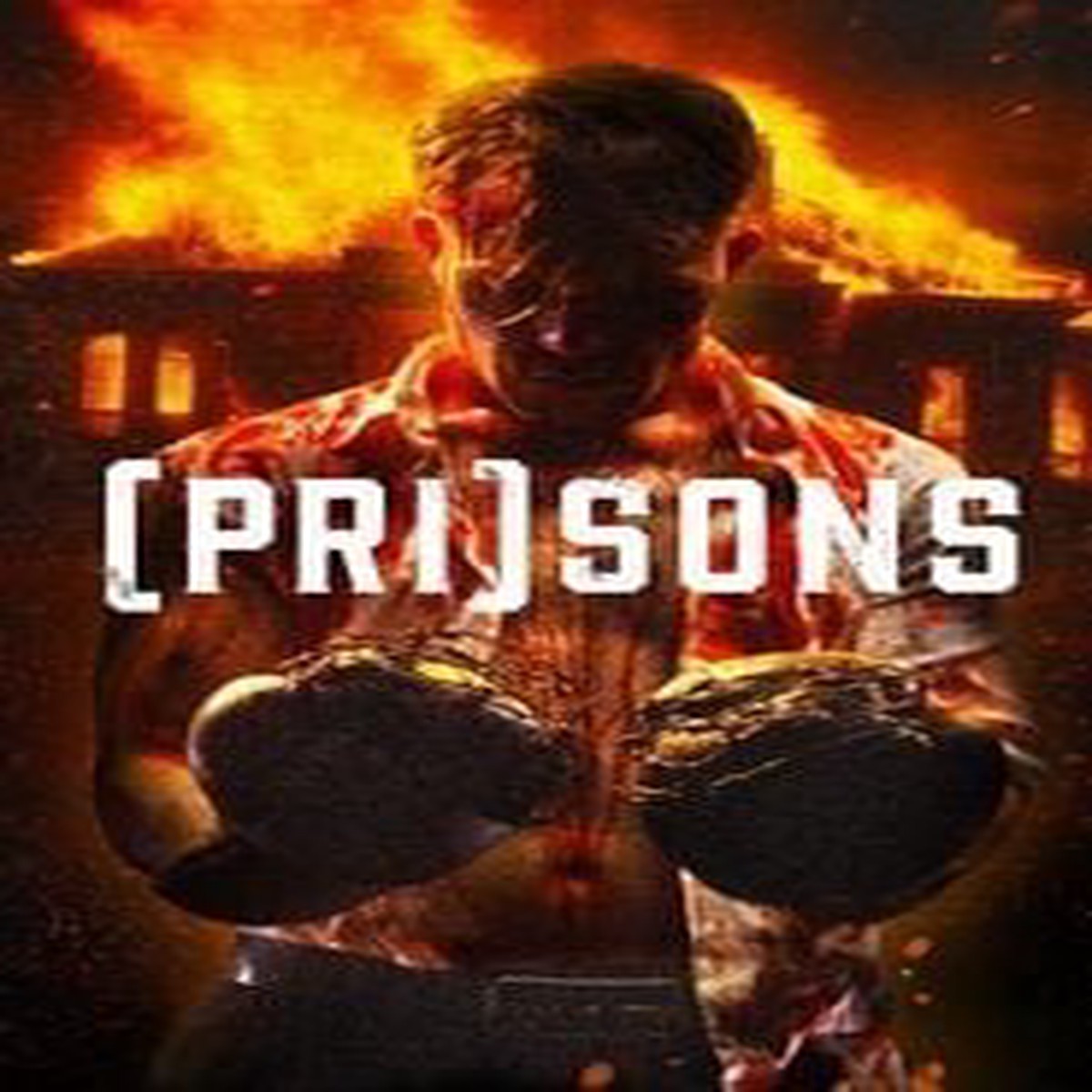 (Pri)Sons (2024) English Dvd Movie Box Set